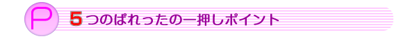 ５つのぱれったの一押しポイント